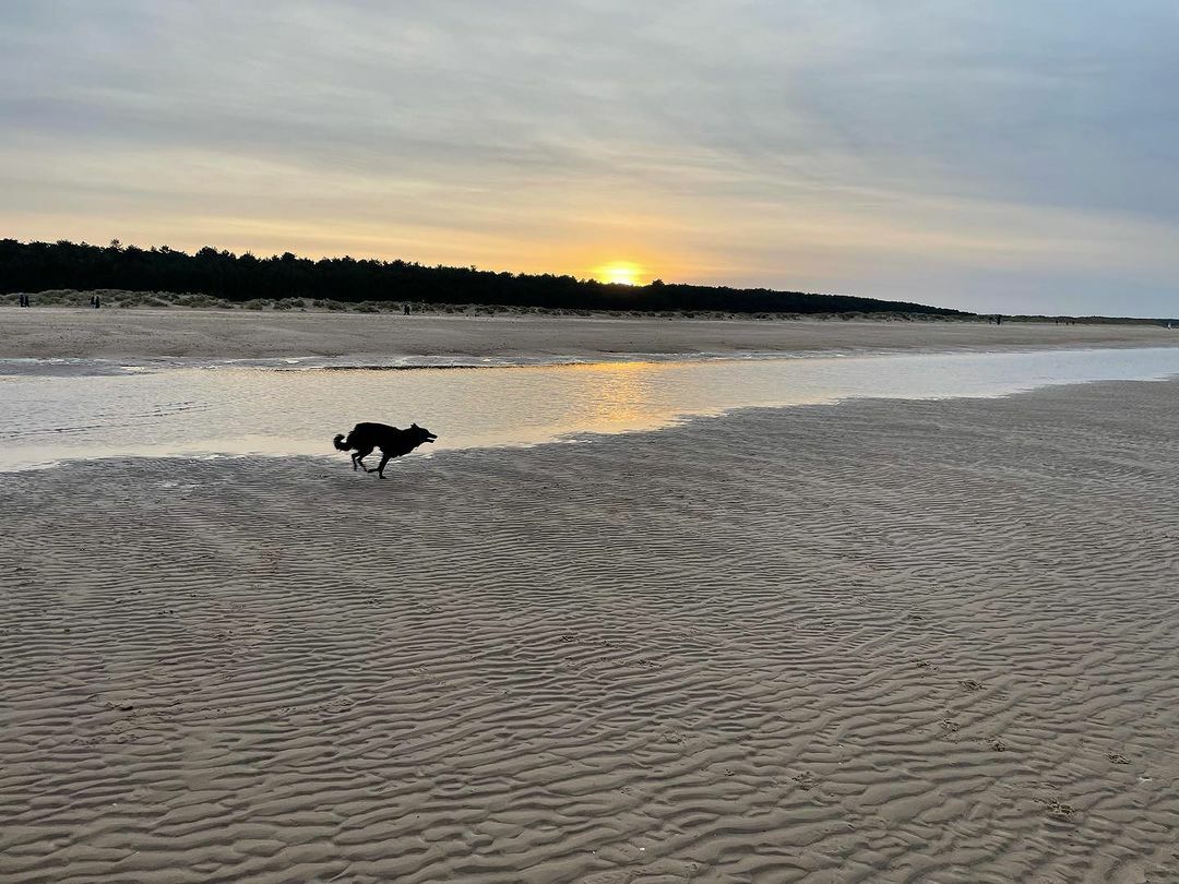 Happy New Year! 🎉 
#norfolkcoast...